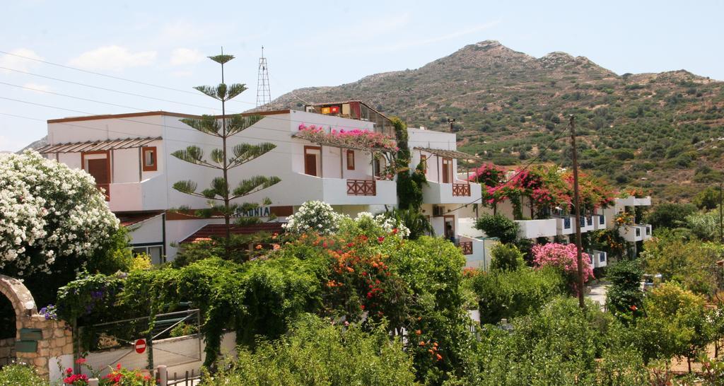 Armonia Hotel Matala Zewnętrze zdjęcie